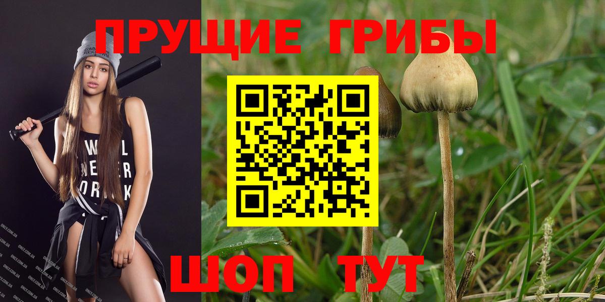 ГАШИШ Людиново