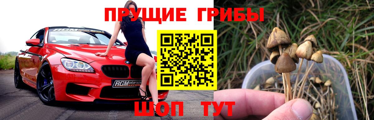 Псилоцибиновые грибы мицелий  Вход с VPN  Людиново  Псилоцибиновые грибы Magic Shrooms 